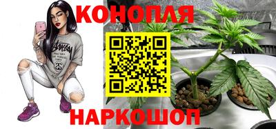 гидра Балахна
